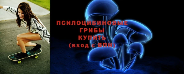 молекула духа Беломорск