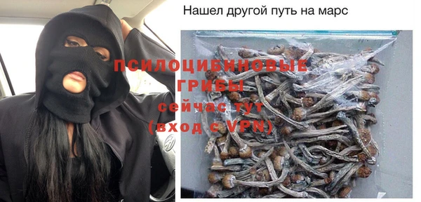PSILOCYBIN Балахна